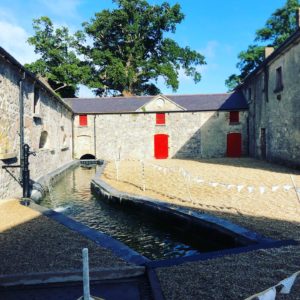 Watercourse at Ballykilcavan