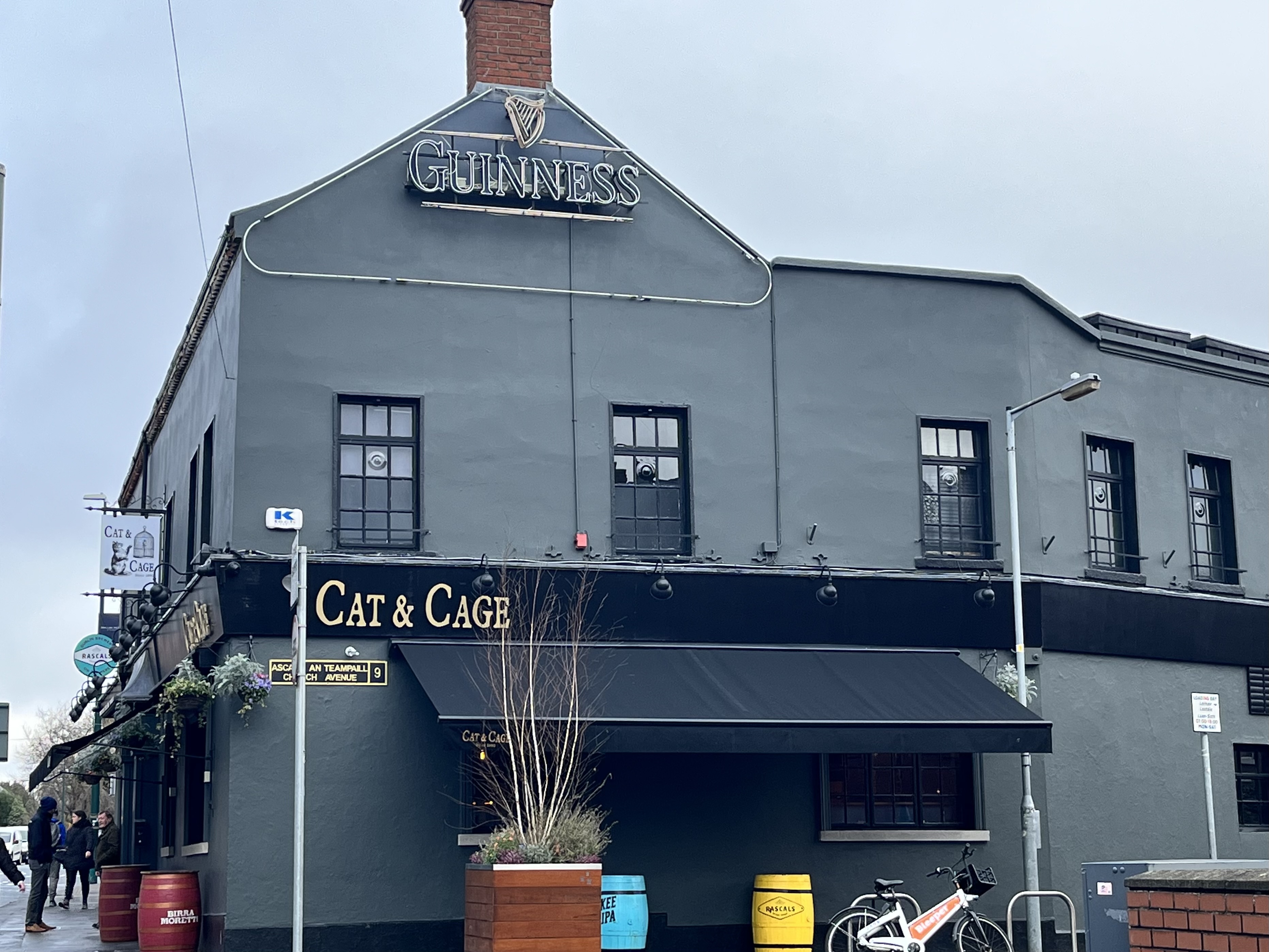 Weirdo Guide to Dublin Pubs: The Cat & Cage thumbnail