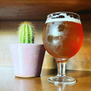 Adorable cactus and thumb-printed glass at Bonobo