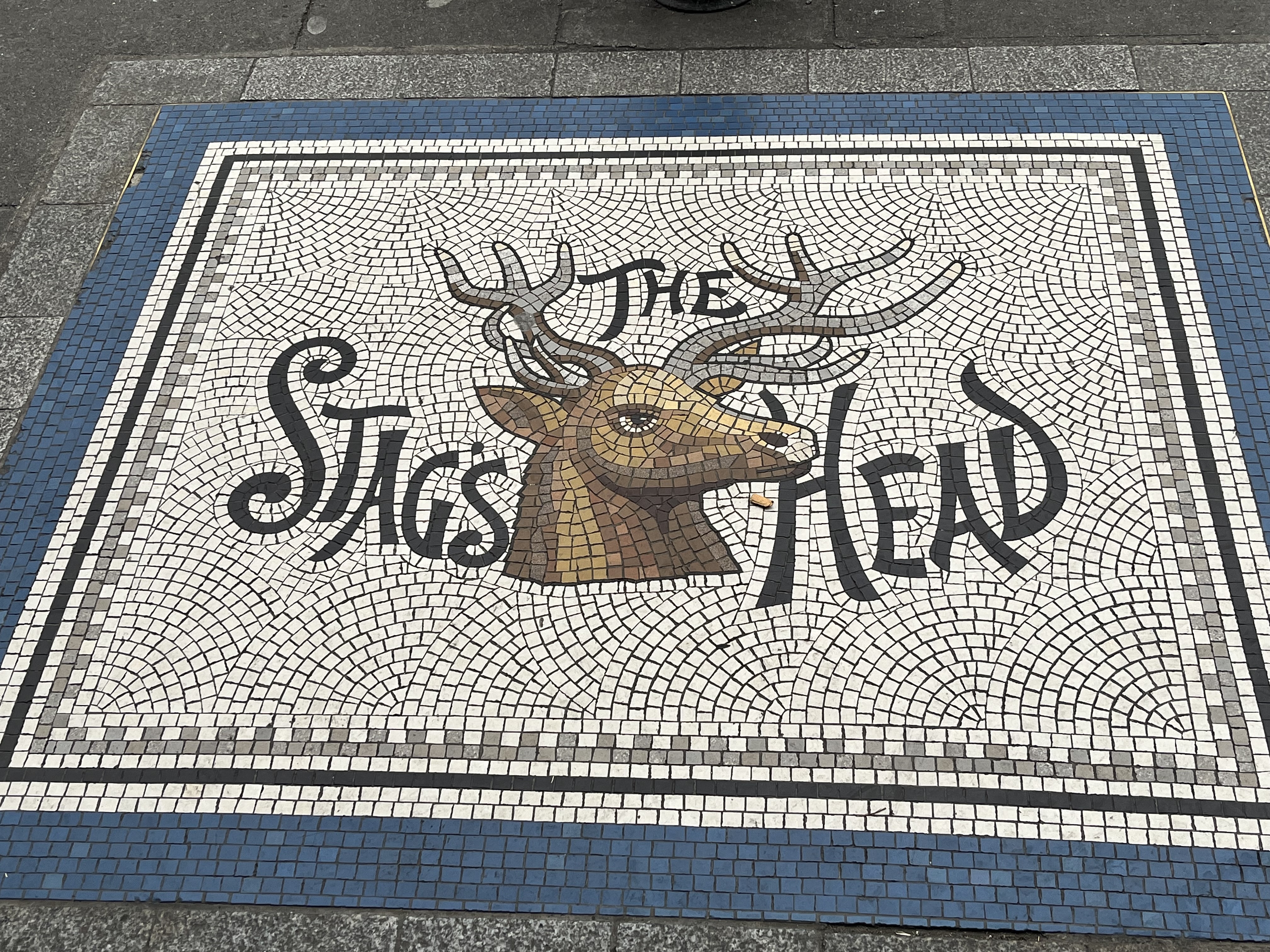 Weirdo Guide to Dublin Pubs: The Stag’s Head thumbnail
