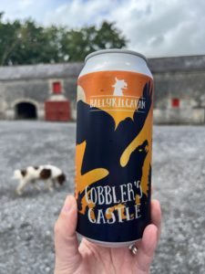 Ballykilcavan at Ballykilcavan - one of a number that deserve to be better-known
