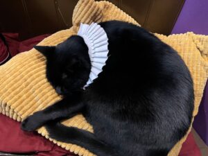 Here comes the General